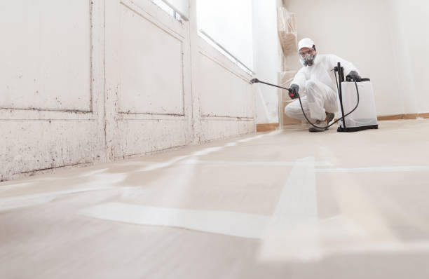 24/7 Emergency Attic Mold Remediation experts in Ickesburg, PA